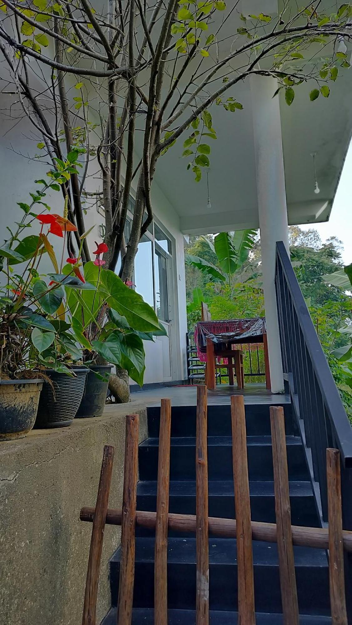 The Bliss Homestay Ella Kültér fotó